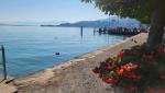 die heutige Etappe startet beim Hafen von Richterswil