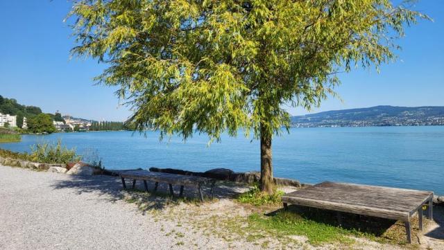 die heutige Etappe wird uns alles am Ufer des Zürichsee entlang, nach Horgen führen