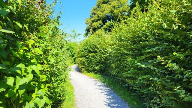 20250808_102128.jpg