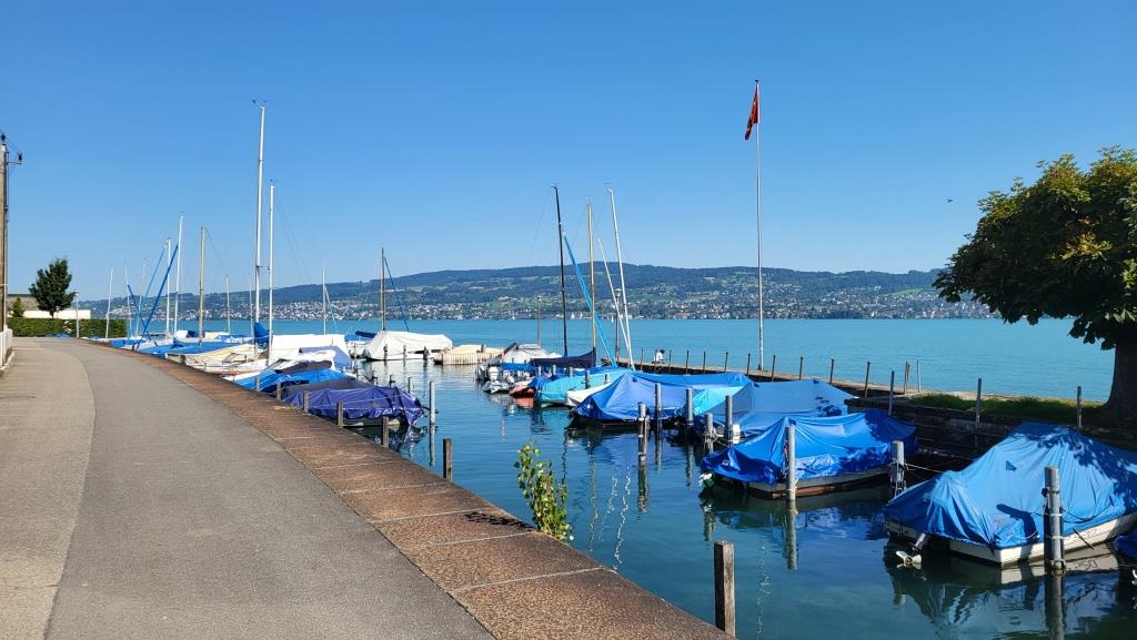 vom Bootshafen von Wädenswil aus...