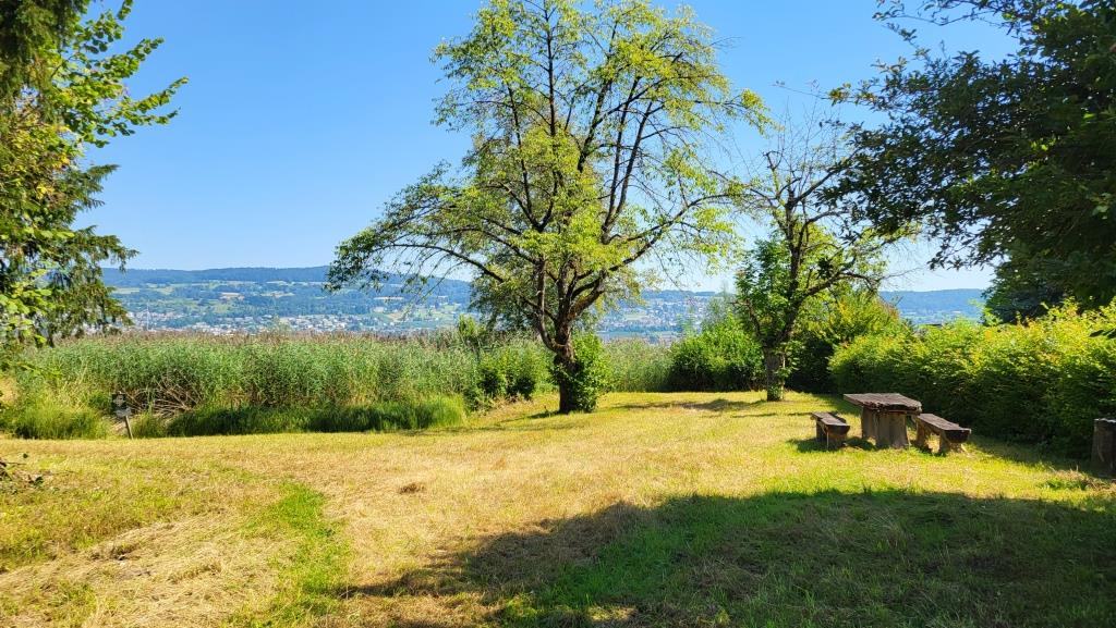 Grillplätze und Sitzbänke hat es auch immer wieder