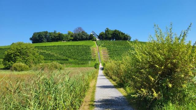 mit dem einzigen, etwas steileren Anstieg der Tour wird der Aussichtspunkt erreicht