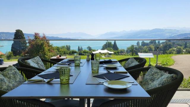 mit schönster Aussicht geniessen wir ein Glas Weisswein, von den Rebhängen vor Ort