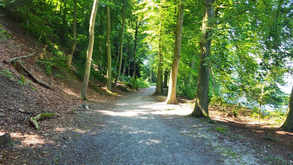 alles am Seeufer entlang umrunden wir die hälfte der Halbinsel Au