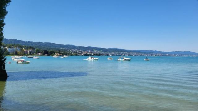 die Aussicht auf den Zürichsee ist sehr schön