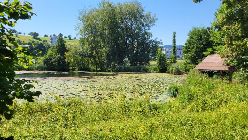direkt daneben liegt der romantische Ausee