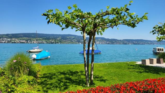 in Horgen geht die heutige Etappe zu Ende. Und wieder sind wir vom Zürichsee Rundweg begeistert