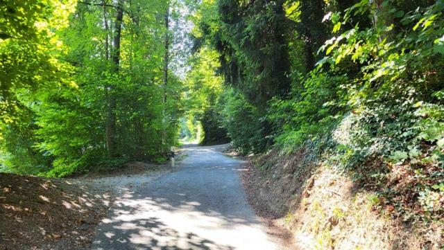 wir steigen weiter aufwärts und lassen Horgen-Oberdorf hinter uns
