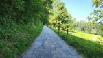 der Wanderweg führt uns nun alles am Waldrand entlang