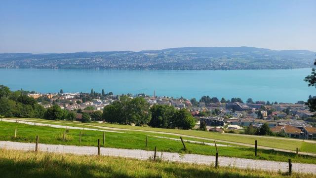 der Blick auf Oberrieden, Horgen und den Zürichsee ist wunderschön