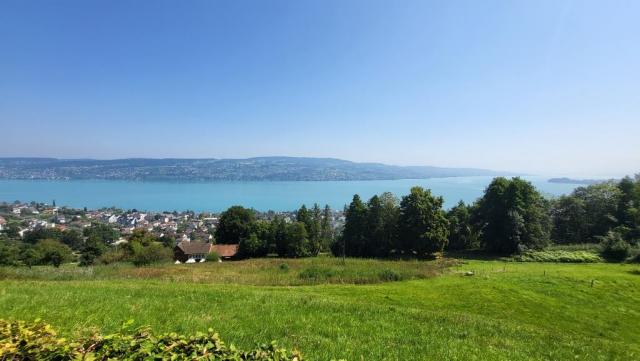 die Aussicht von hier oben auf den Zürichsee ist wunderschön