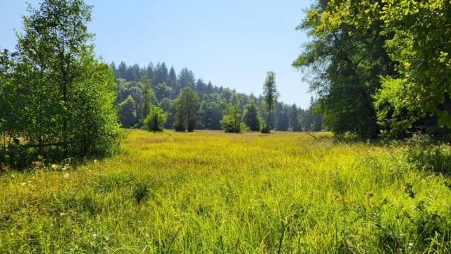 schon bald ist der Langmoos erreicht, eine wunderschöne Riedwiese
