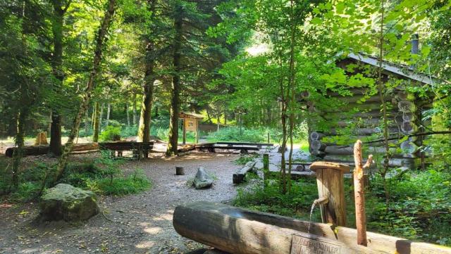 eine schöne Waldhütte mit Sitzbänken und Grillstelle, lädt zum verweilen ein