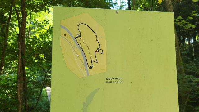 20250812_123954.jpg