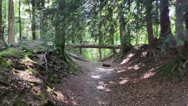 wir verlassen den Zimmerberg und wandern weiter