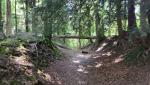 wir verlassen den Zimmerberg und wandern weiter