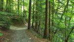 der Zürichsee Rundweg führt uns nun in das Sihltal hinunter