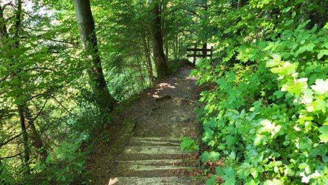 Holztreppen vereinfachen den Abstieg