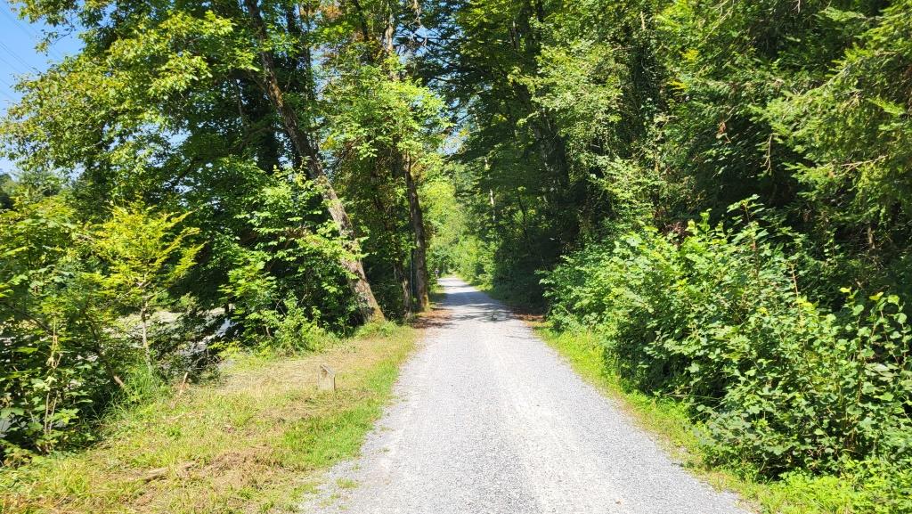 beim breiten Kiesweg direkt neben der Sihl, endet der Abstieg