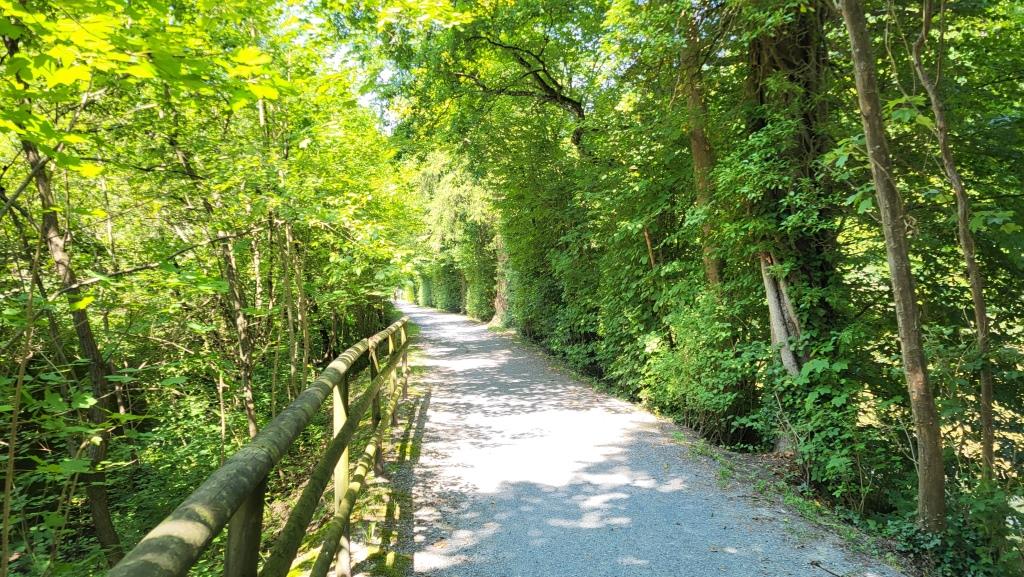 alles der Sihl entlang wandern wir nun gemütlich Richtung Adliswil