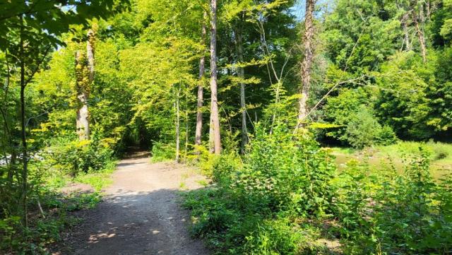 der Flussweg eignet sich sehr gut, um die Landschaft der Sihl entlang zu bestaunen
