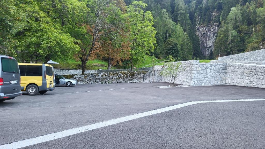 20250810_070305.jpg