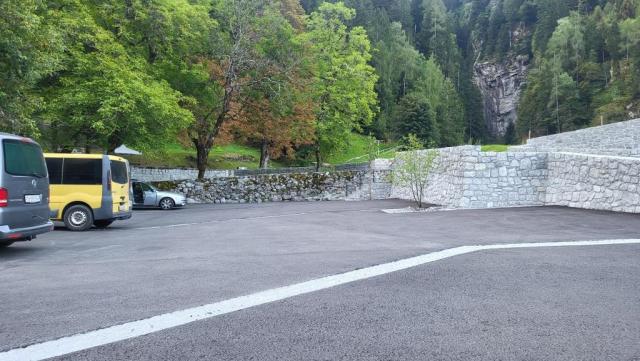 20250810_070305.jpg