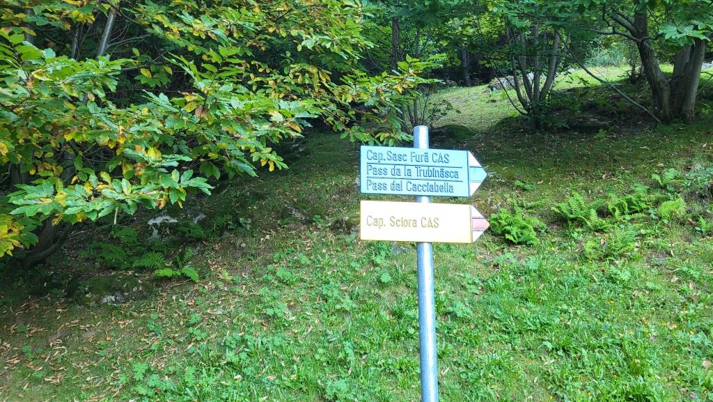 20250810_071037.jpg