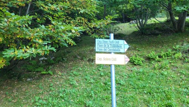 20250810_071037.jpg