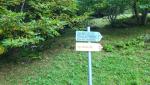20250810_071037.jpg