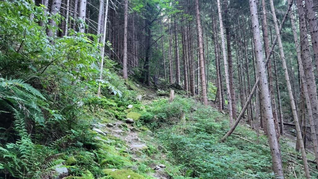 20250810_071608.jpg