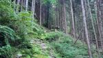 20250810_071608.jpg