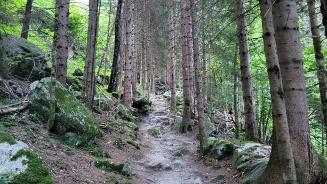 20250810_072913.jpg