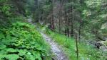 20250810_074133.jpg