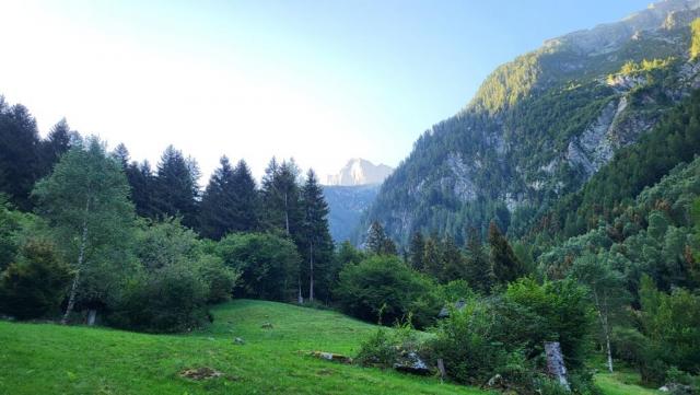 20250810_074946.jpg