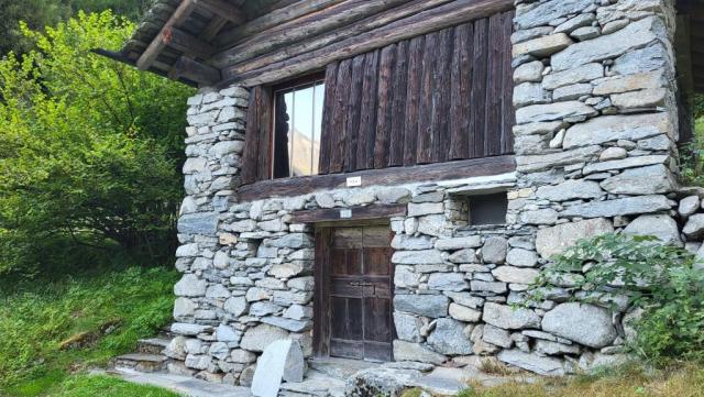 20250810_075151.jpg