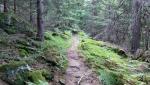 20250810_080702.jpg