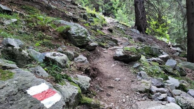 20250810_081822.jpg