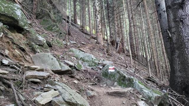 20250810_082941.jpg