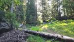 20250810_085833.jpg