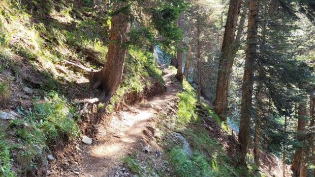 20250810_090013.jpg