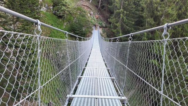 20250810_090215.jpg