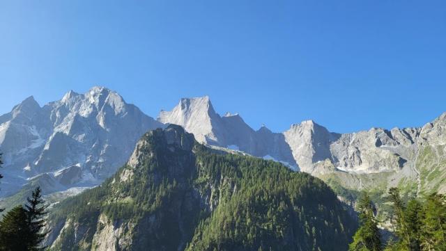 20250810_090302.jpg