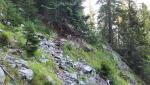 20250810_092052.jpg