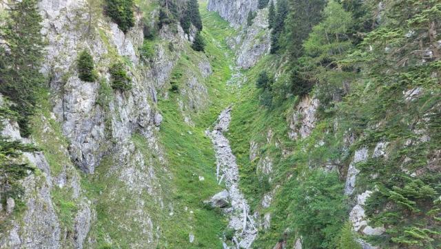 20250810_092730.jpg