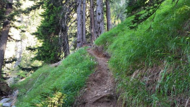 20250810_093420.jpg