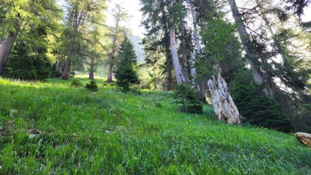 20250810_093458.jpg