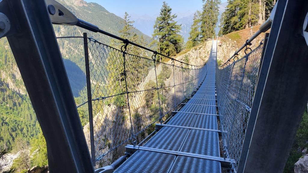 20250810_094927.jpg