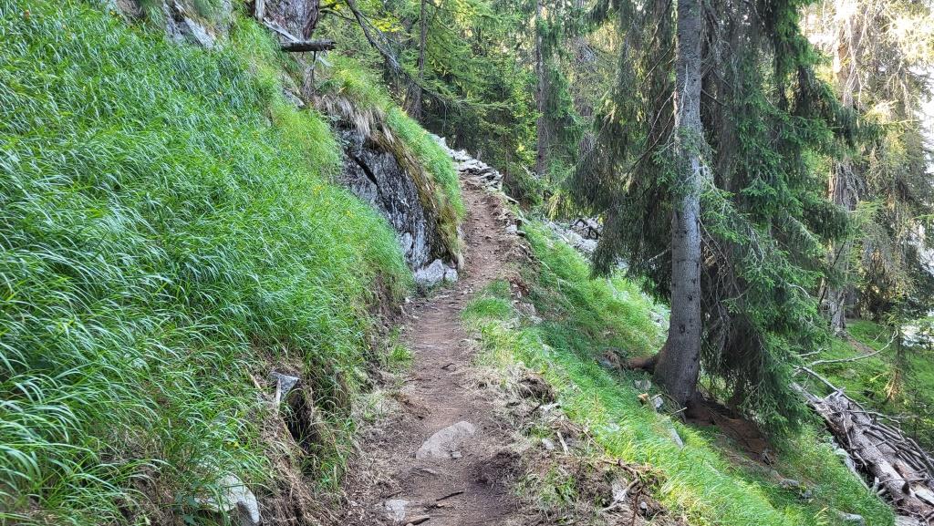 20250810_095051.jpg