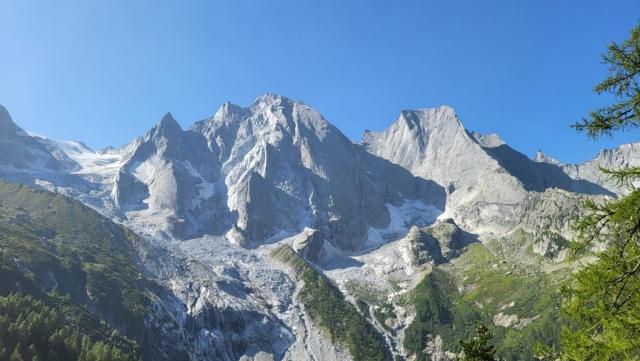 20250810_095528.jpg